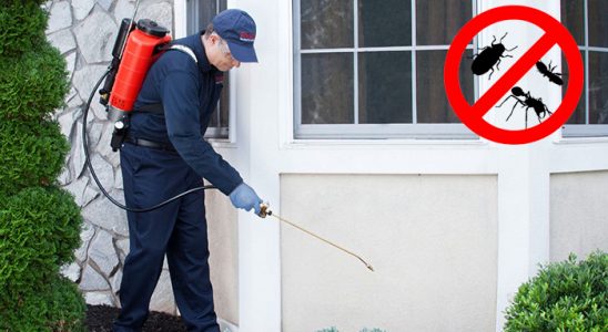 Yıkıkkemer Tahtakurusu İlaçlama böcek ilaçlama ve haşere kontrolü — ilaclama-tr.com